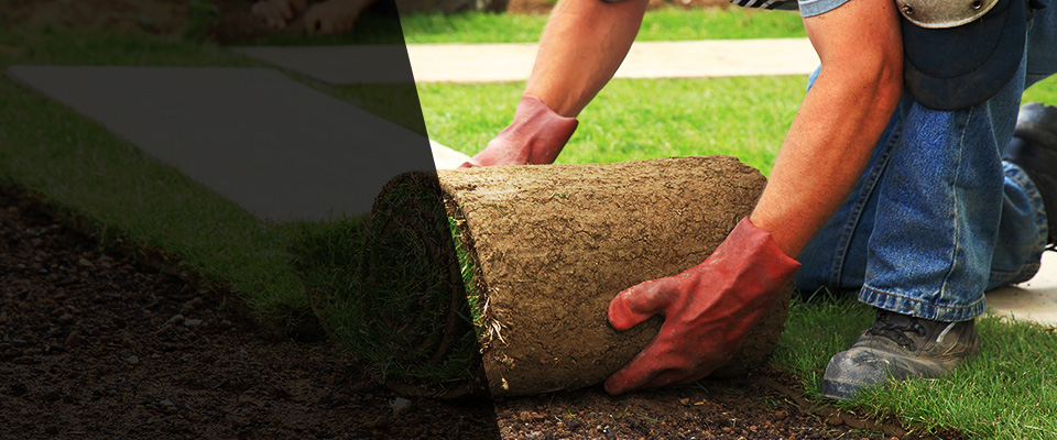 West Hills Landscapers